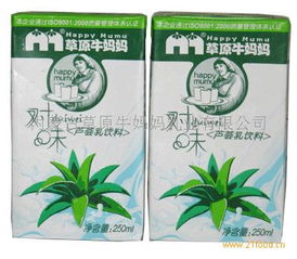 原味蘆薈 文化交融中的自然饋贈