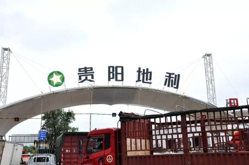 地利集團(tuán)十家農(nóng)批市場榮膺2018年度全國百強(qiáng)，彰顯農(nóng)產(chǎn)品流通行業(yè)標(biāo)桿力量